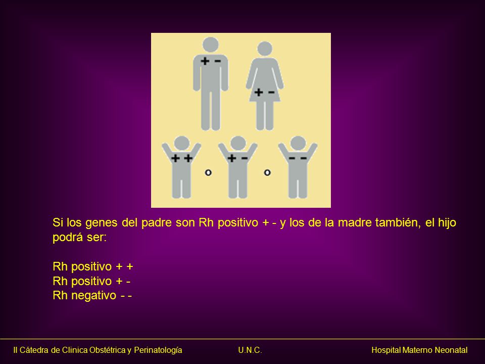 Si los genes del padre son Rh positivo + - y los de la madre también, el hijo podrá ser: Rh positivo + + Rh positivo + - Rh negativo - -