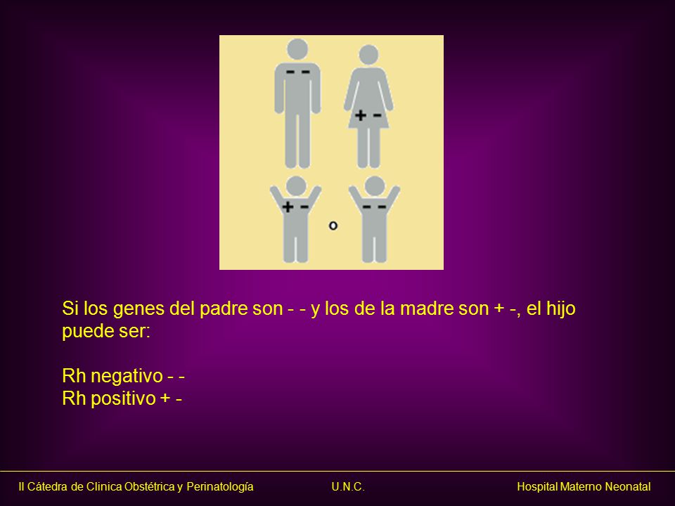 Si los genes del padre son - - y los de la madre son + -, el hijo puede ser: Rh negativo - - Rh positivo + -