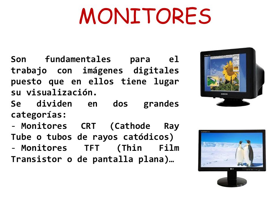 MONITORES Son fundamentales para el trabajo con imágenes digitales puesto que en ellos tiene lugar su visualización.