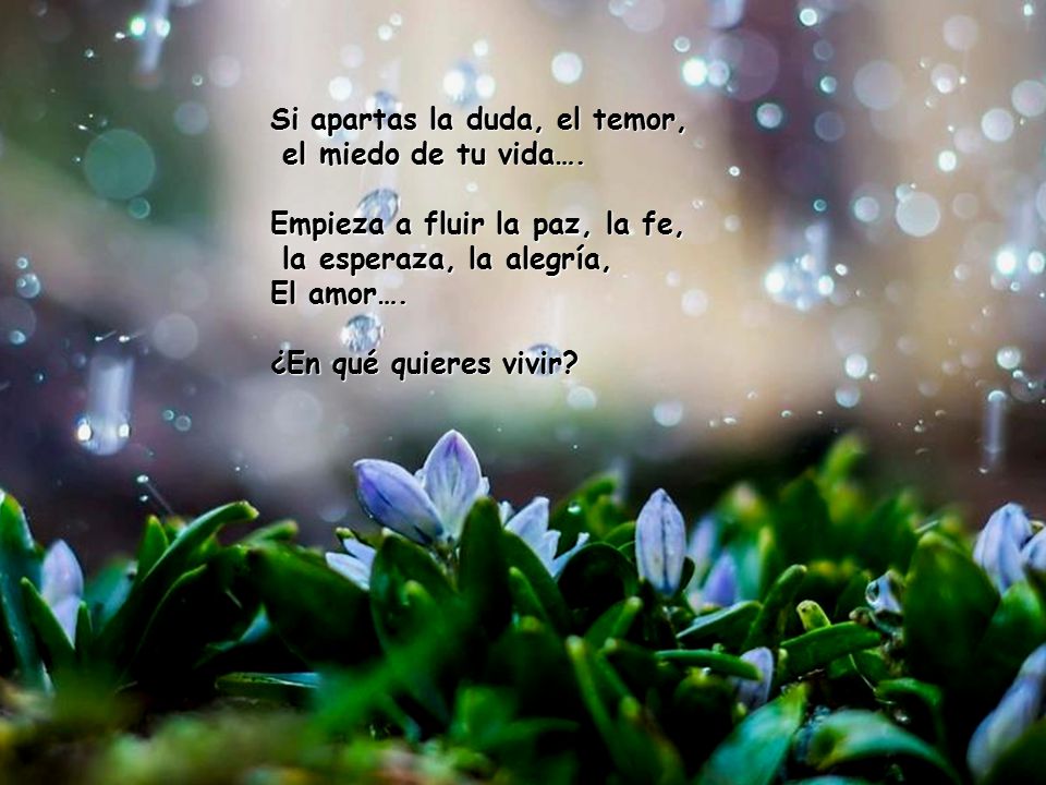 Si apartas la duda, el temor, el miedo de tu vida….