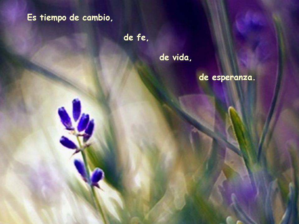 Es tiempo de cambio, de fe, de vida, de esperanza.