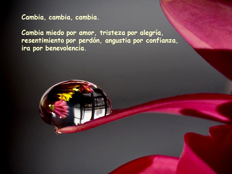 Cambia miedo por amor, tristeza por alegría,