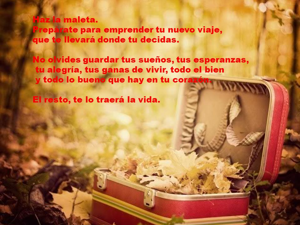 Haz la maleta. Prepárate para emprender tu nuevo viaje, que te llevará donde tu decidas. No olvides guardar tus sueños, tus esperanzas,