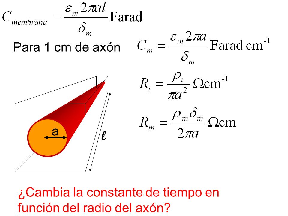 Para 1 cm de axón a l ¿Cambia la constante de tiempo en función del radio del axón