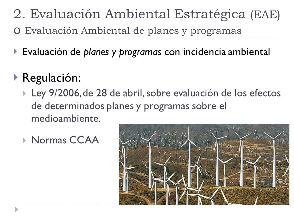 2. Evaluación Ambiental Estratégica (EAE) o Evaluación Ambiental de planes y programas