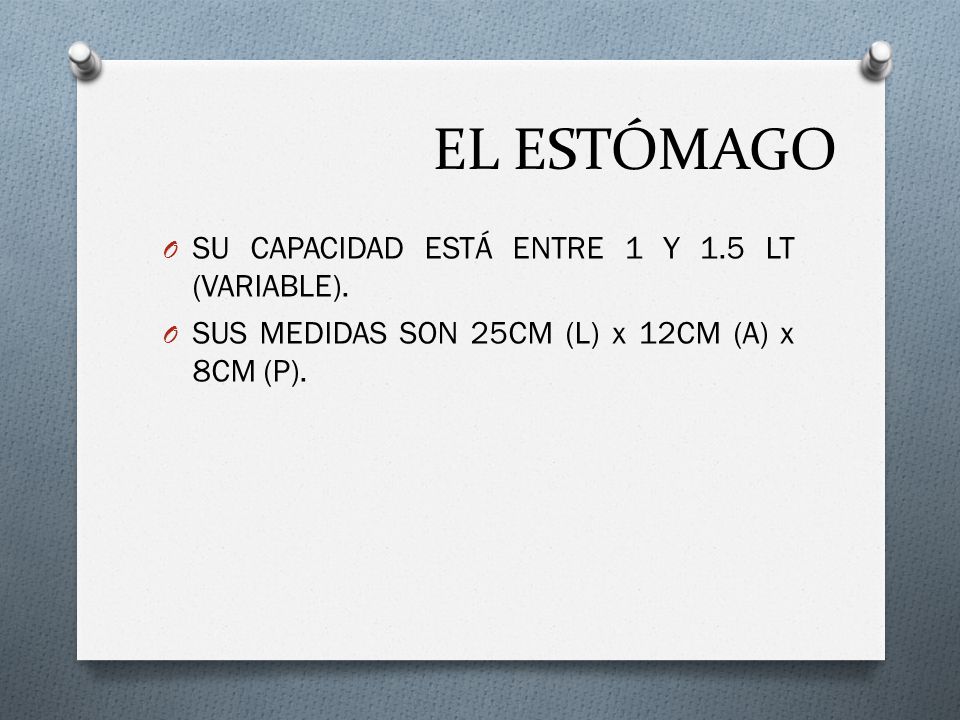 EL ESTÓMAGO SU CAPACIDAD ESTÁ ENTRE 1 Y 1.5 LT (VARIABLE).