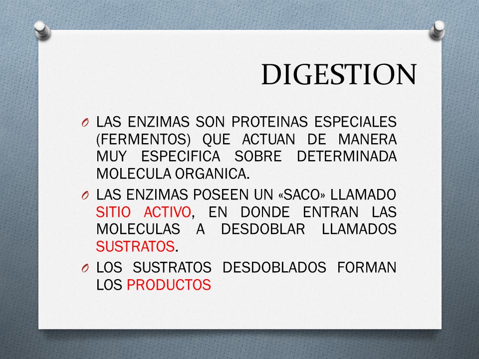 DIGESTION LAS ENZIMAS SON PROTEINAS ESPECIALES (FERMENTOS) QUE ACTUAN DE MANERA MUY ESPECIFICA SOBRE DETERMINADA MOLECULA ORGANICA.