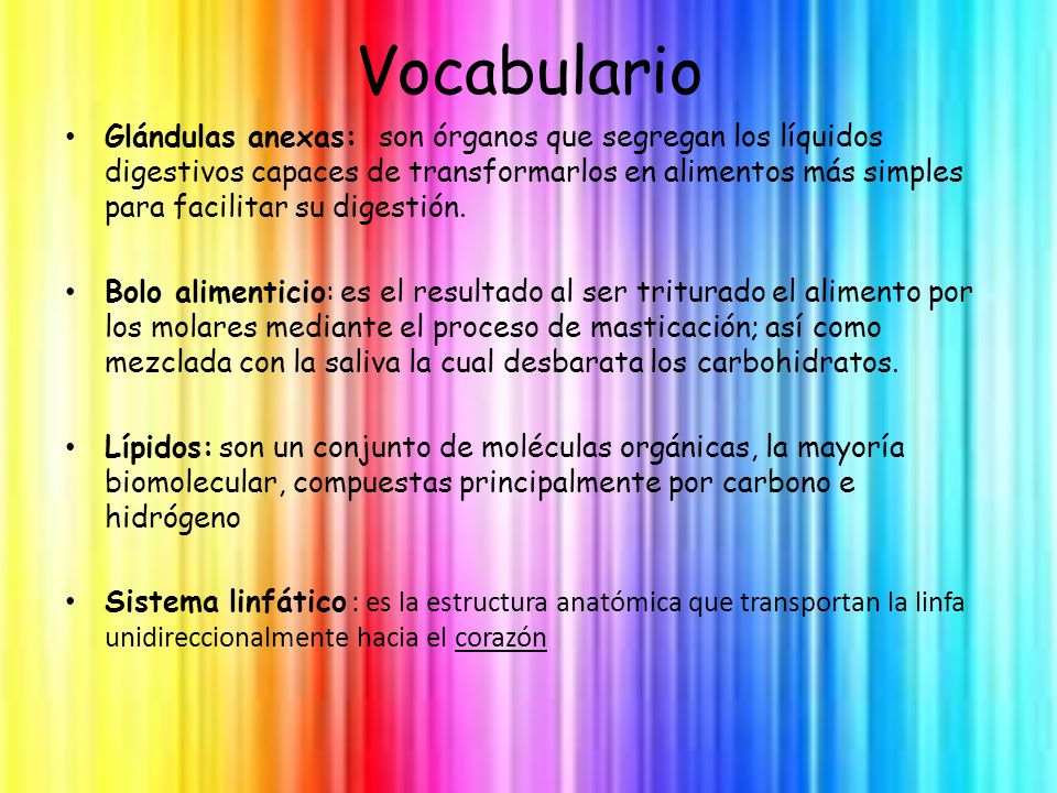 Vocabulario