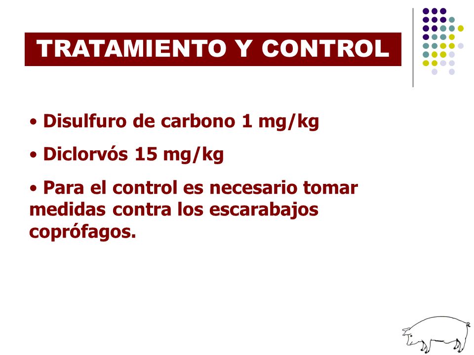 TRATAMIENTO Y CONTROL Disulfuro de carbono 1 mg/kg Diclorvós 15 mg/kg