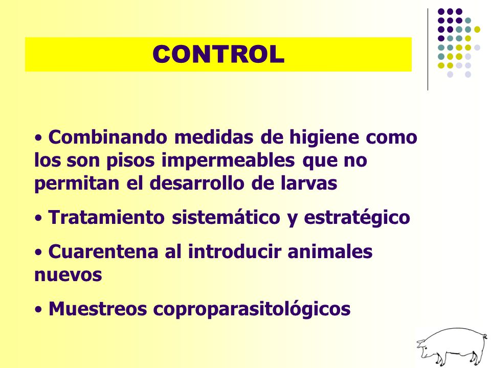 CONTROL Combinando medidas de higiene como los son pisos impermeables que no permitan el desarrollo de larvas.