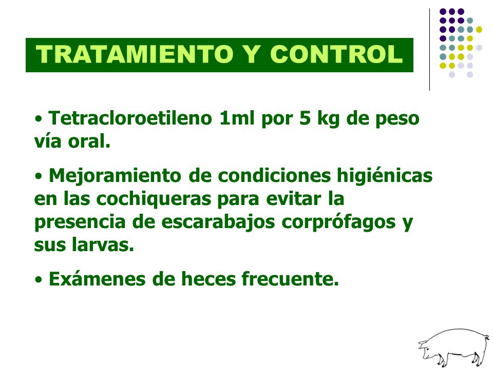 TRATAMIENTO Y CONTROL Tetracloroetileno 1ml por 5 kg de peso vía oral.