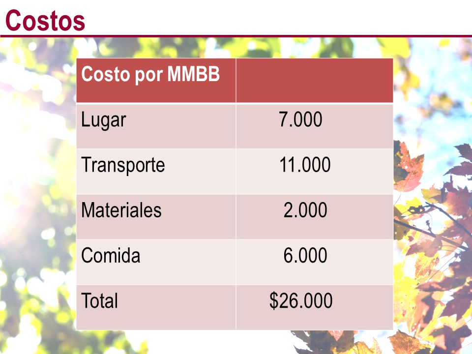 Costos Costo por MMBB Lugar Transporte Materiales 2.000