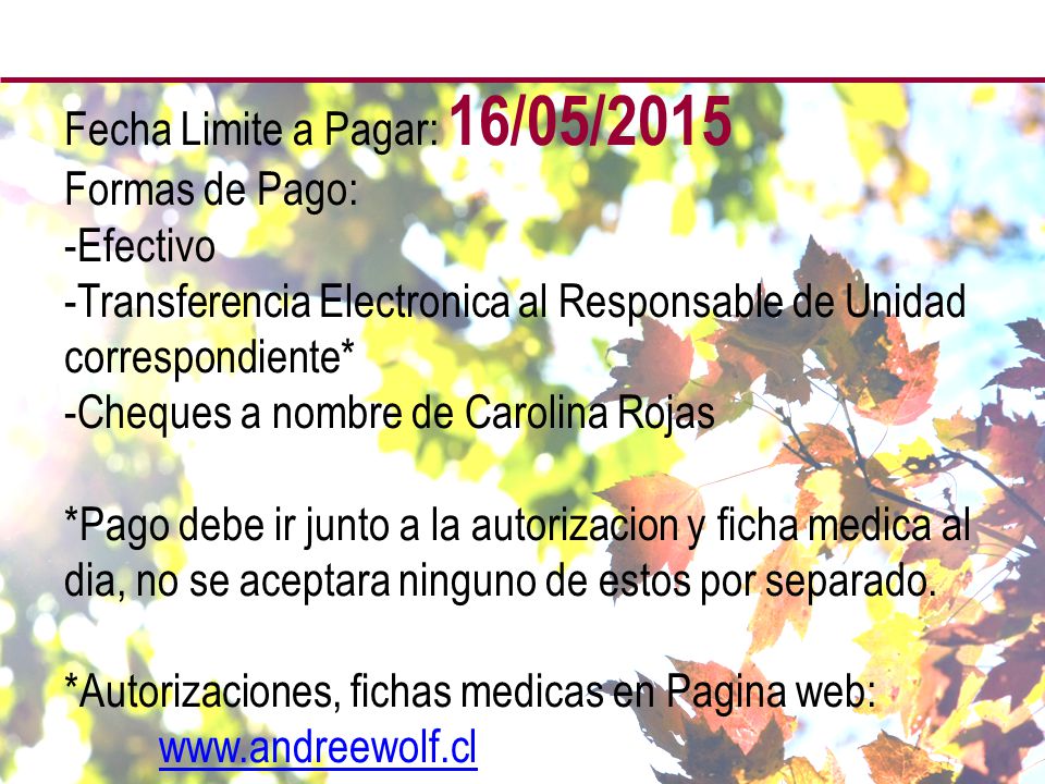 Fecha Limite a Pagar: 16/05/2015