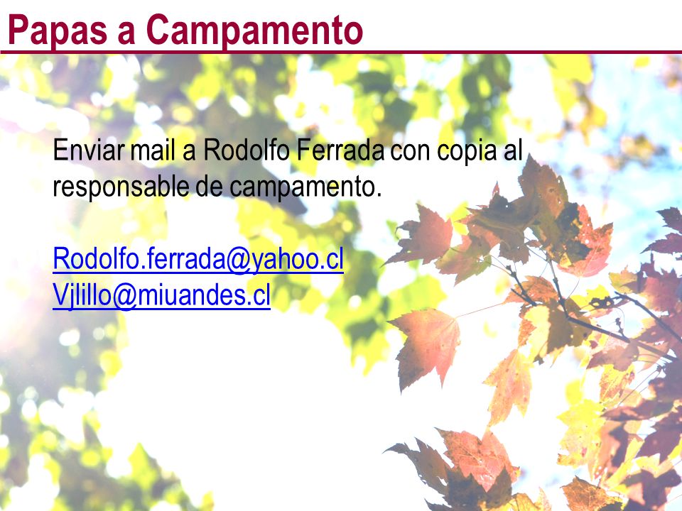 Papas a Campamento Enviar mail a Rodolfo Ferrada con copia al responsable de campamento.