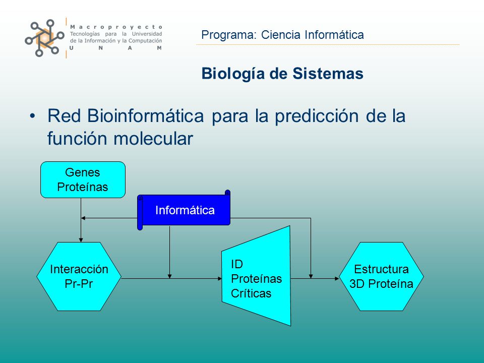 Red Bioinformática para la predicción de la función molecular