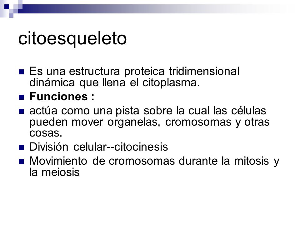 citoesqueleto Es una estructura proteica tridimensional dinámica que llena el citoplasma. Funciones :