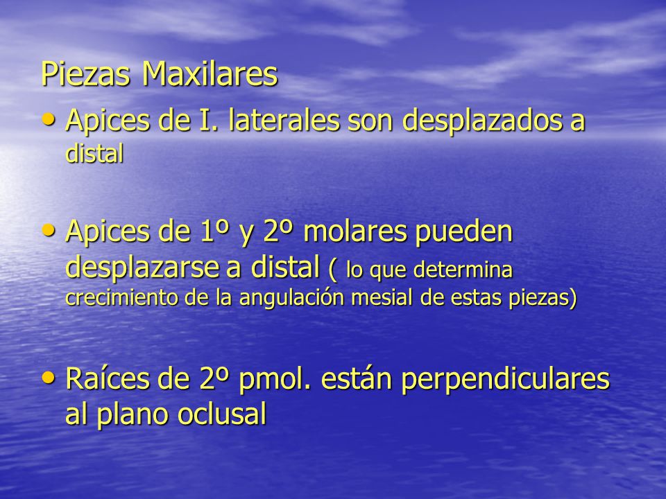 Piezas Maxilares Apices de I. laterales son desplazados a distal