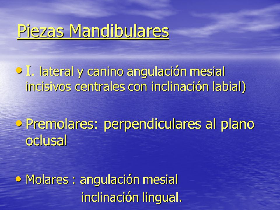 Piezas Mandibulares I. lateral y canino angulación mesial incisivos centrales con inclinación labial)