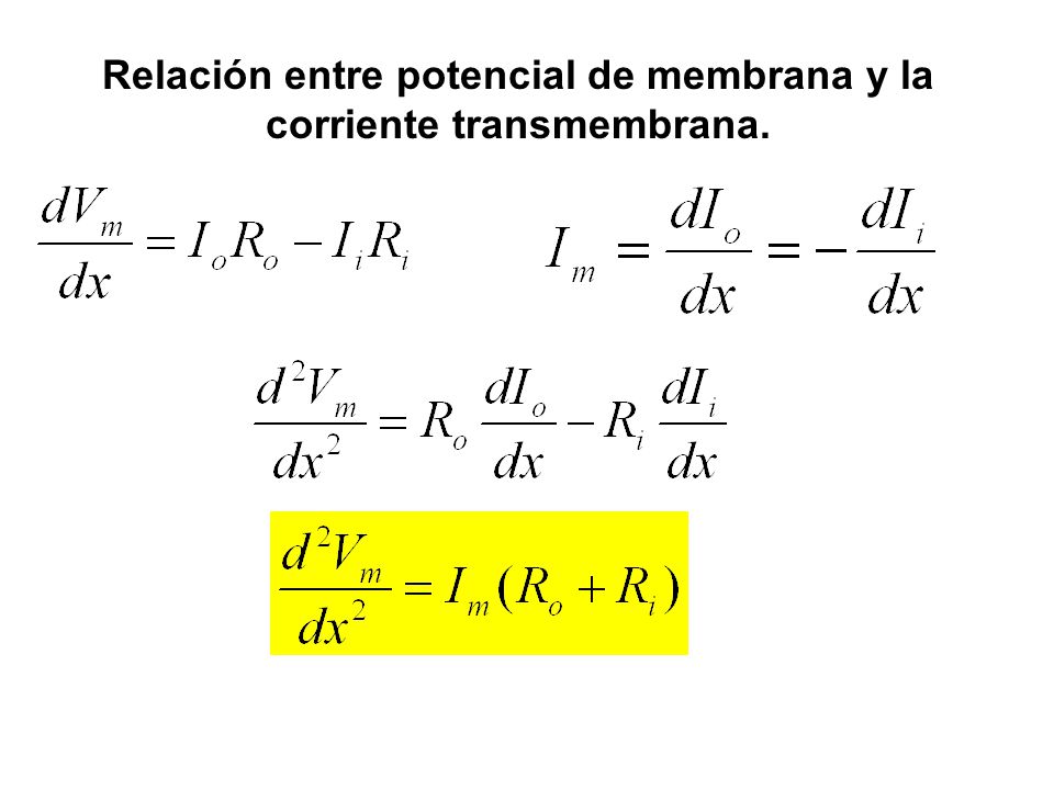 Relación entre potencial de membrana y la corriente transmembrana.