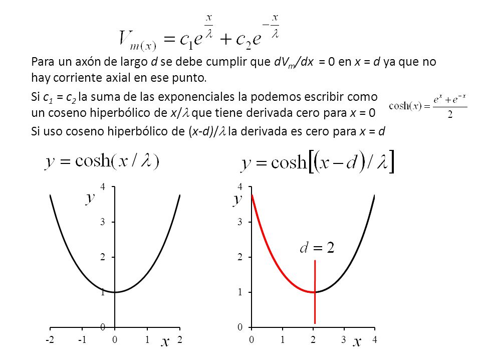 Para un axón de largo d se debe cumplir que dVm/dx = 0 en x = d ya que no hay corriente axial en ese punto.