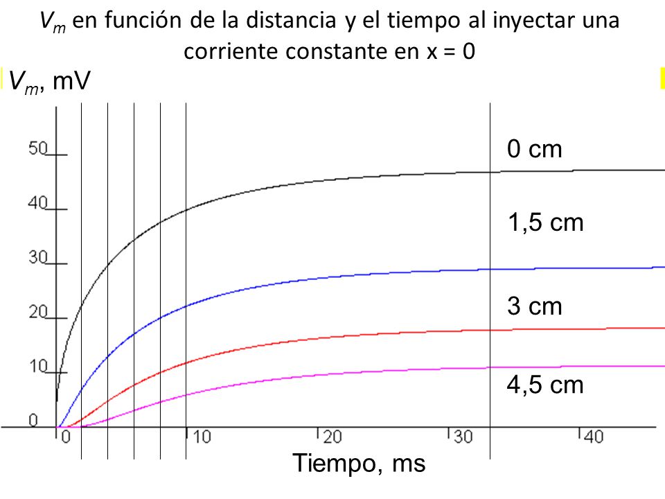 Vm en función de la distancia y el tiempo al inyectar una corriente constante en x = 0