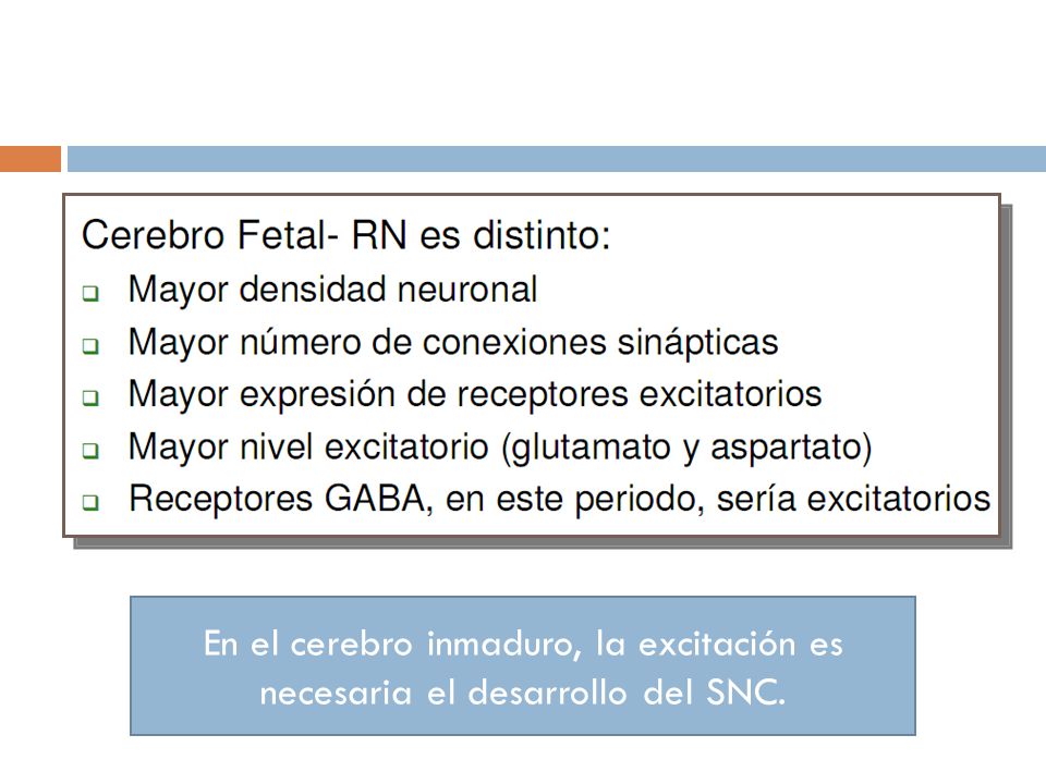 En el cerebro inmaduro, la excitación es necesaria el desarrollo del SNC.