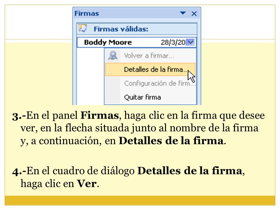 3.-En el panel Firmas, haga clic en la firma que desee ver, en la flecha situada junto al nombre de la firma y, a continuación, en Detalles de la firma.