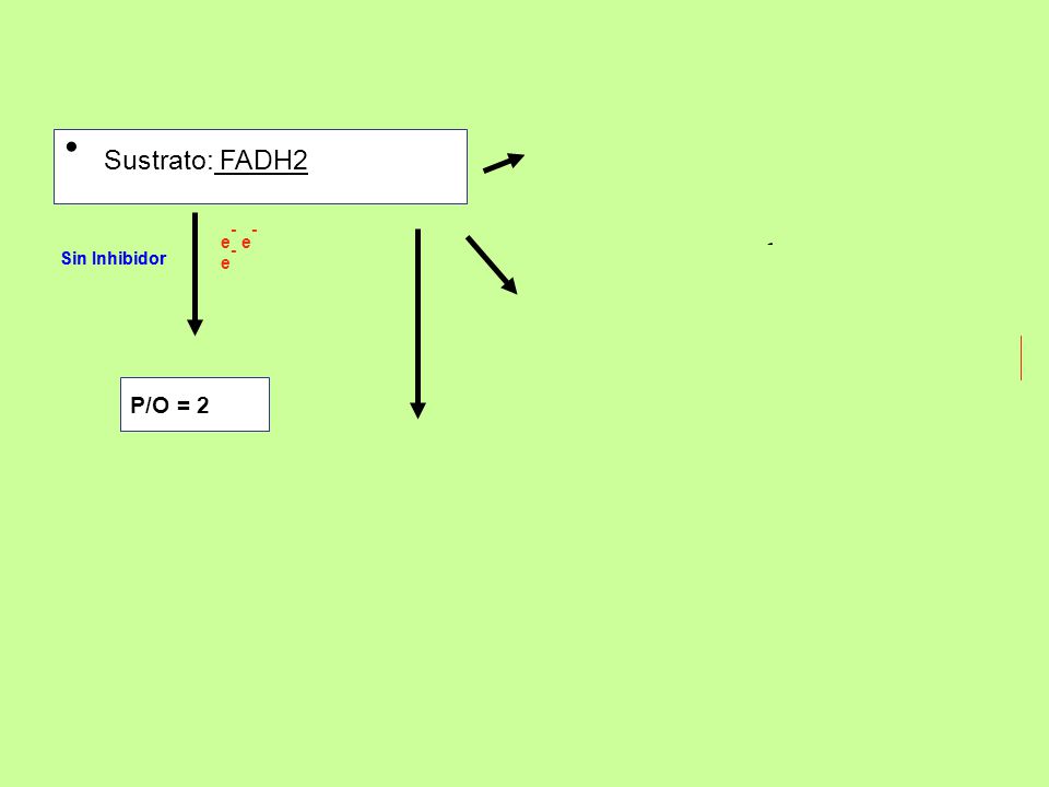 Sustrato: FADH2 P/O = 2 P/O = 0 P/O = 2 P/O = 0 c/Inh. del COMPLEJO I