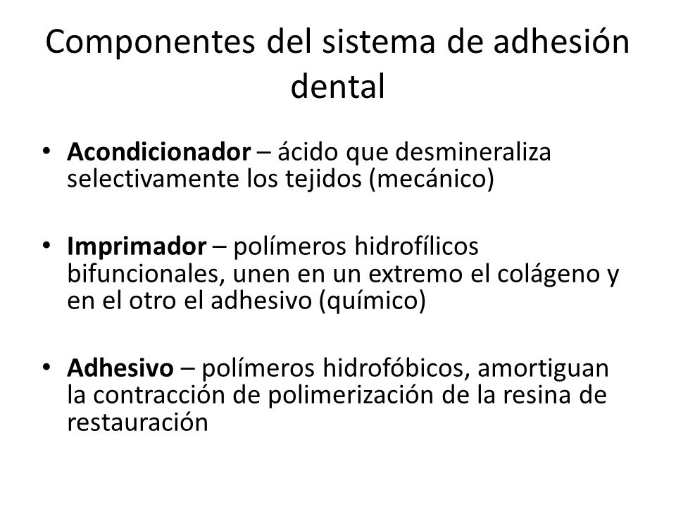 Componentes del sistema de adhesión dental