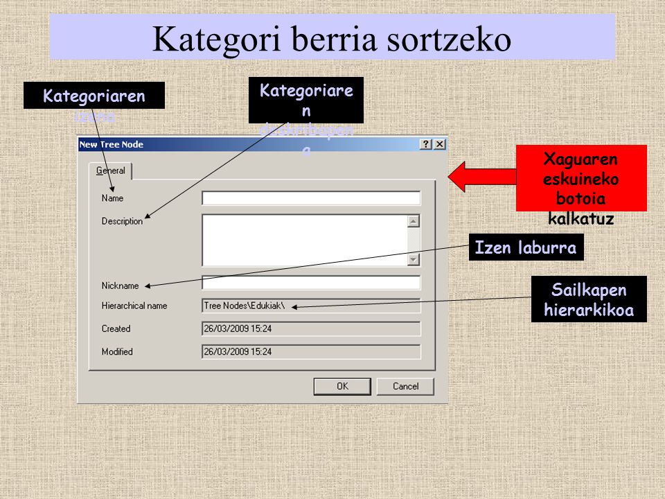 Kategori berria sortzeko