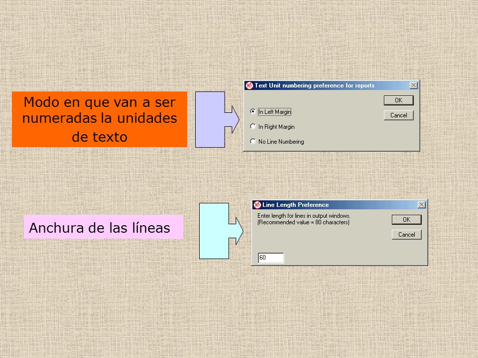 Modo en que van a ser numeradas la unidades de texto