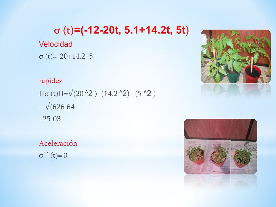 σ (t)=(-12-20t, t, 5t) Velocidad σ (t)=-20+14