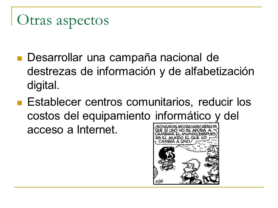 Otras aspectos Desarrollar una campaña nacional de destrezas de información y de alfabetización digital.