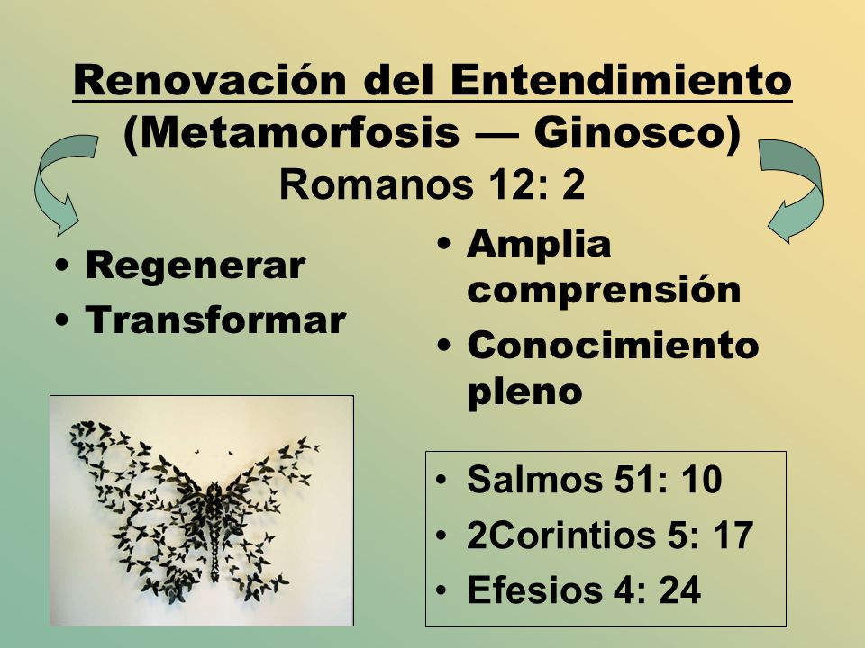 Renovación del Entendimiento (Metamorfosis — Ginosco) Romanos 12: 2