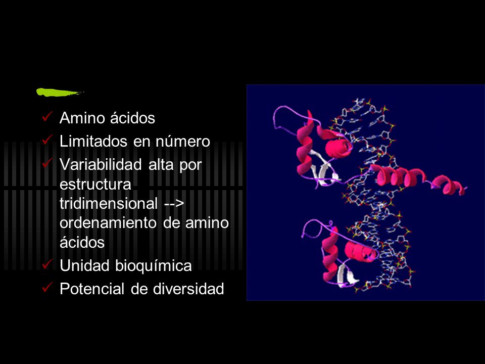 Amino ácidos Limitados en número. Variabilidad alta por estructura tridimensional --> ordenamiento de amino ácidos.