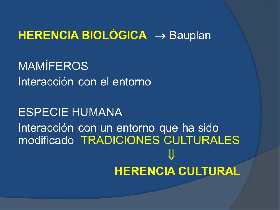 HERENCIA BIOLÓGICA  Bauplan MAMÍFEROS Interacción con el entorno ESPECIE HUMANA Interacción con un entorno que ha sido modificado TRADICIONES CULTURALES  HERENCIA CULTURAL
