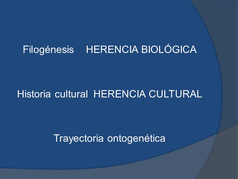 Filogénesis HERENCIA BIOLÓGICA Historia cultural HERENCIA CULTURAL Trayectoria ontogenética
