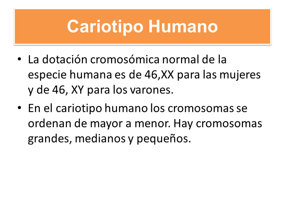 Cariotipo Humano La dotación cromosómica normal de la especie humana es de 46,XX para las mujeres y de 46, XY para los varones.