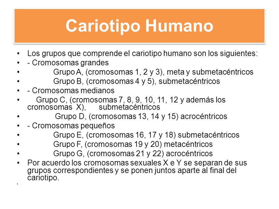 Cariotipo Humano Los grupos que comprende el cariotipo humano son los siguientes: - Cromosomas grandes.