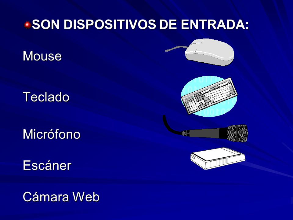 SON DISPOSITIVOS DE ENTRADA: Mouse Teclado Micrófono Escáner Cámara Web