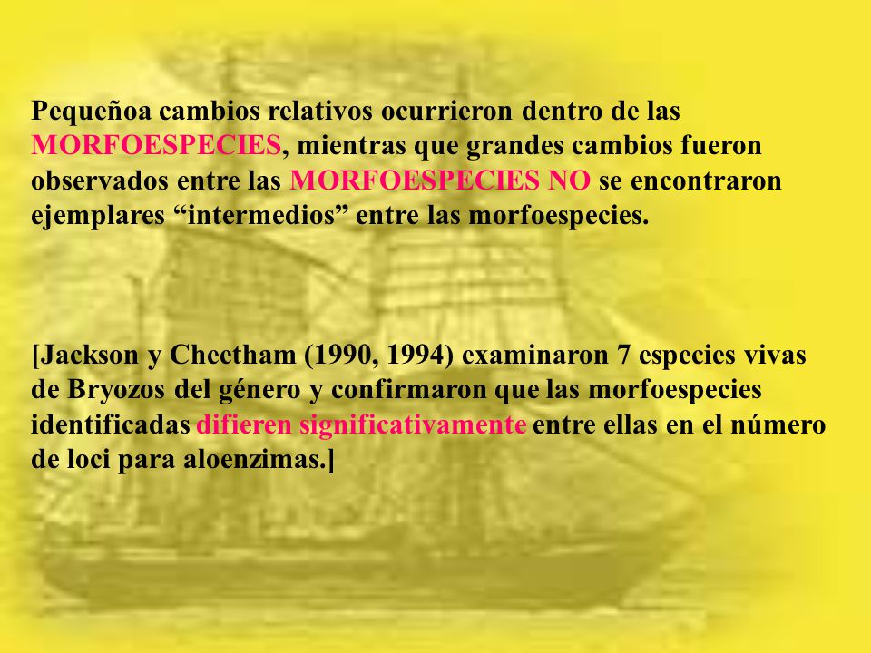 Pequeñoa cambios relativos ocurrieron dentro de las MORFOESPECIES, mientras que grandes cambios fueron observados entre las MORFOESPECIES NO se encontraron ejemplares intermedios entre las morfoespecies.