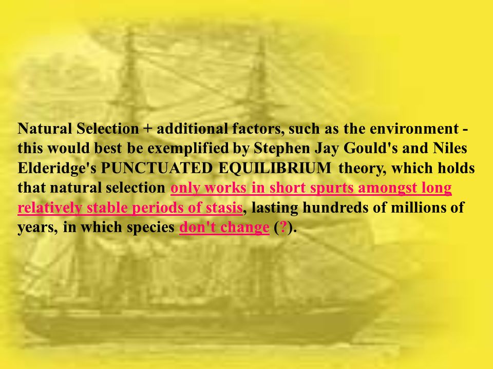Natural Selection + additional factors, such as the environment - this would best be exemplified by Stephen Jay Gould s and Niles Elderidge s PUNCTUATED EQUILIBRIUM theory, which holds that natural selection only works in short spurts amongst long relatively stable periods of stasis, lasting hundreds of millions of years, in which species don t change ( ).