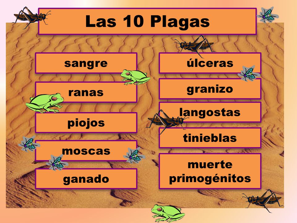 Las 10 Plagas sangre úlceras granizo ranas langostas piojos tinieblas