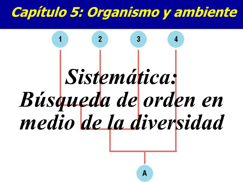 Sistemática: Búsqueda de orden en medio de la diversidad