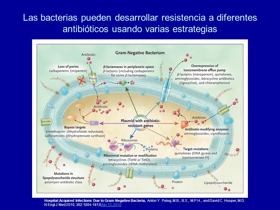 Las bacterias pueden desarrollar resistencia a diferentes antibióticos usando varias estrategias