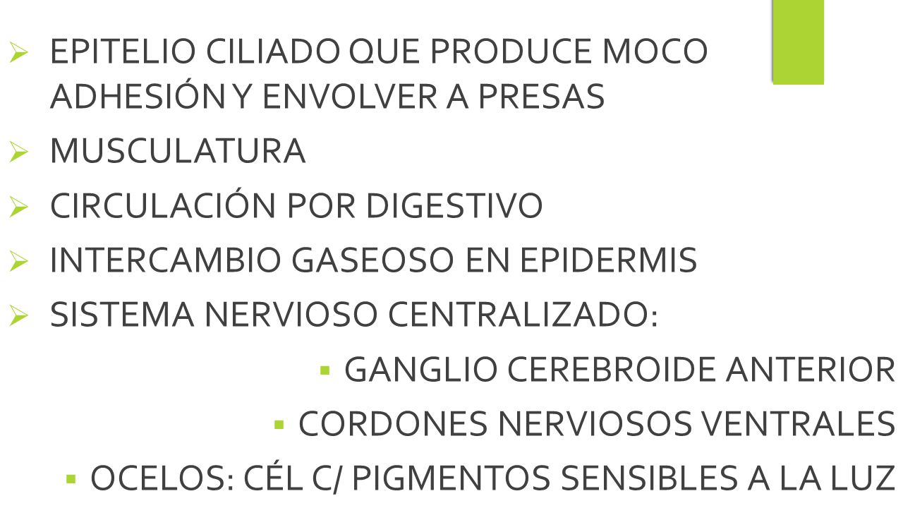 EPITELIO CILIADO QUE PRODUCE MOCO ADHESIÓN Y ENVOLVER A PRESAS
