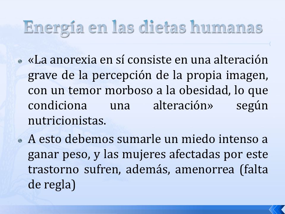 Energía en las dietas humanas