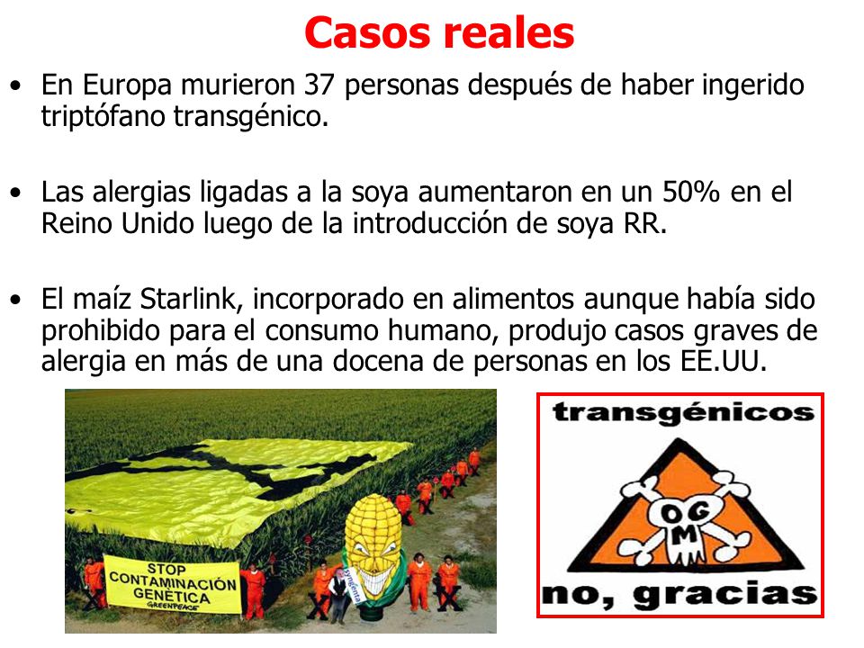 Casos reales En Europa murieron 37 personas después de haber ingerido triptófano transgénico.