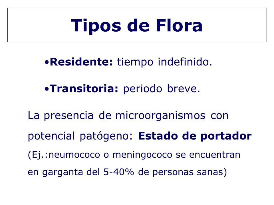 Tipos de Flora Residente: tiempo indefinido.