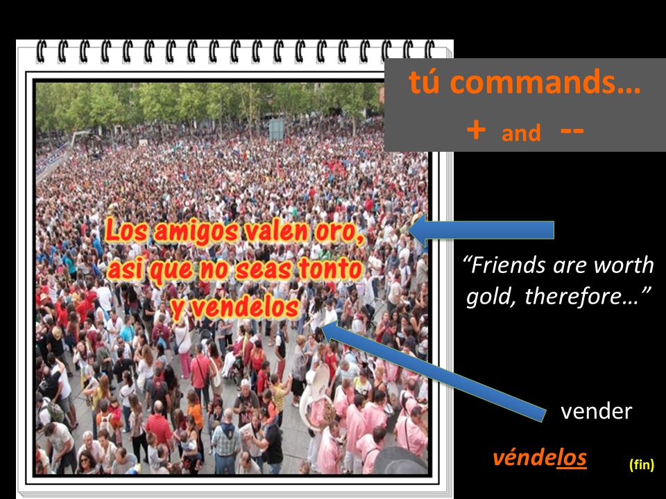 tú commands… + and -- Friends are worth gold, therefore… vender